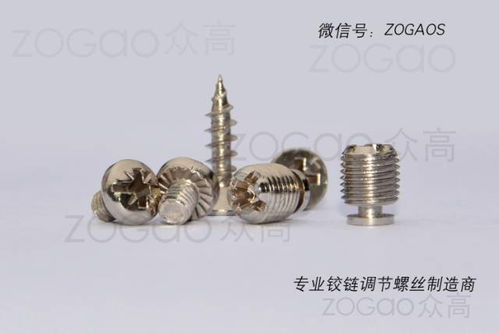 揭東縣埔田鎮(zhèn)東春五金制品廠是一家新型鉸鏈調節(jié)螺絲生產廠家